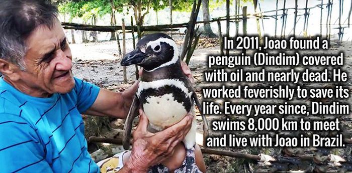 Add These Fascinating Facts To Your Impressive Arsenal Of Knowledge (19 pics)