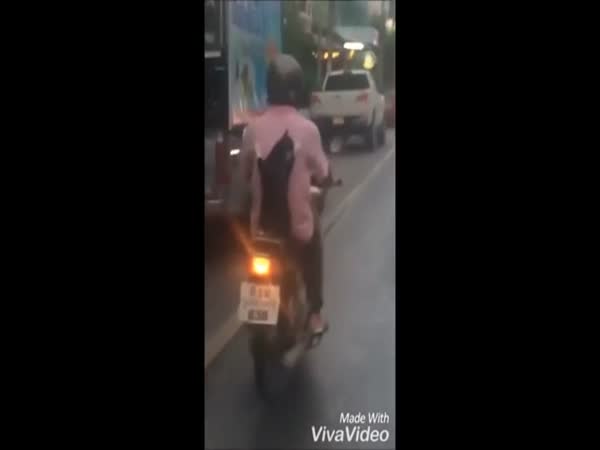 Cat Riding On The Back Of A Scooter