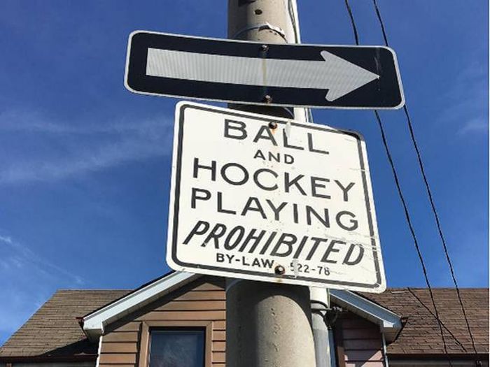 Things Your Eyes Will Only See When You Take A Trip To Canada (47 pics)