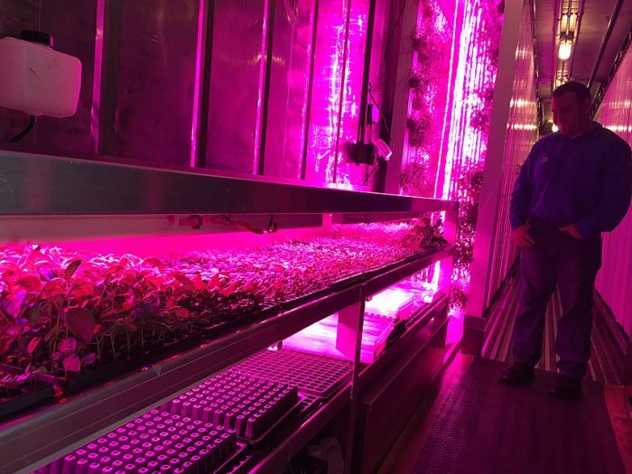 Google Employees Use Shipping Containers To Grow Organic Herbs (14 pics)