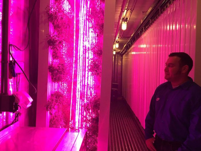 Google Employees Use Shipping Containers To Grow Organic Herbs (14 pics)