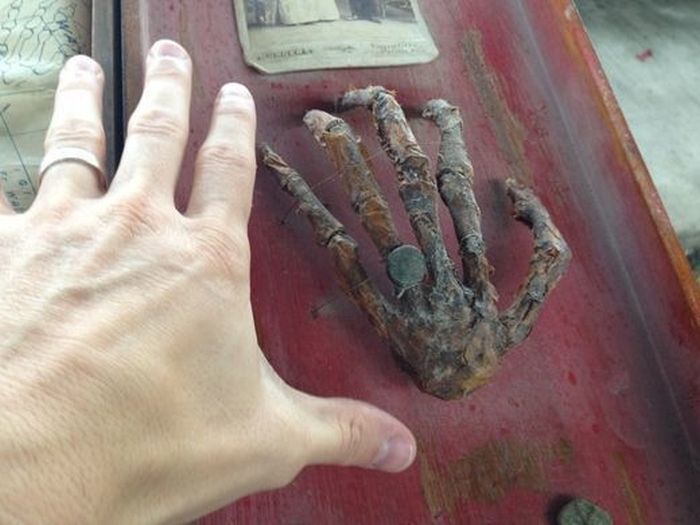 Family Finds A 200 Year Old Secret In Their Grandfather’s Attic (10 pics)