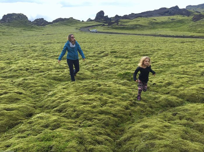 Moss in Iceland Is Unlike Any Other Moss In The World (6 pics)