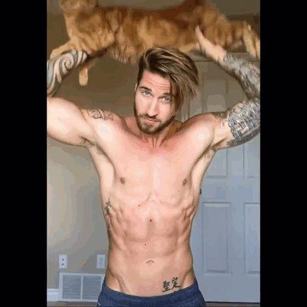 How Your Cat Can Help You Get The Purrfect Physique (5 pics)