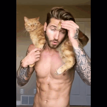 How Your Cat Can Help You Get The Purrfect Physique (5 pics)