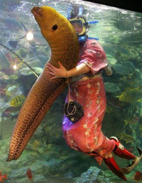 Strange Sights That Will Confuse And Baffle Your Brain (41 pics)