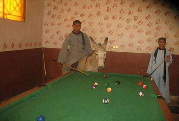 Strange Sights That Will Confuse And Baffle Your Brain (41 pics)