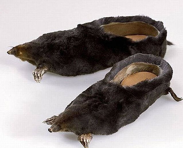 Strange Sights That Will Confuse And Baffle Your Brain (41 pics)