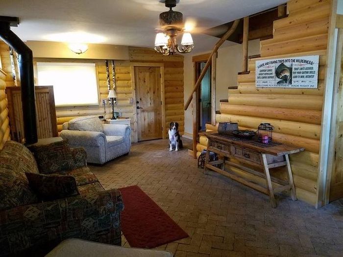 There's A Dog In Every One Of These Pictures, Can You Find Him? (8 pics)