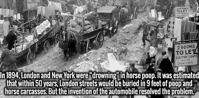 Invigorating Facts That Will Turn Your Ignorance Into Intelligence (20 pics)