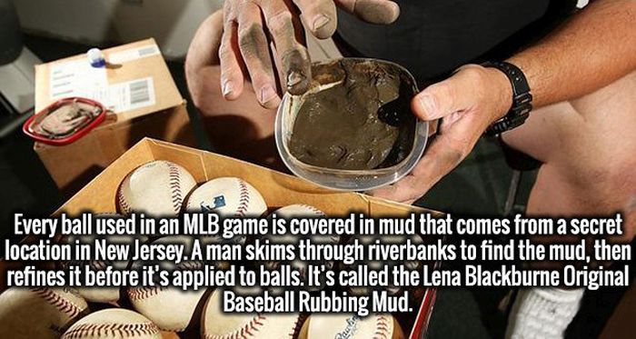 Invigorating Facts That Will Turn Your Ignorance Into Intelligence (20 pics)