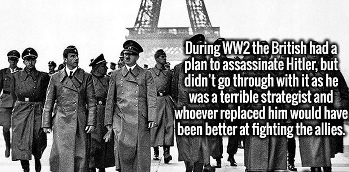 Invigorating Facts That Will Turn Your Ignorance Into Intelligence (20 pics)