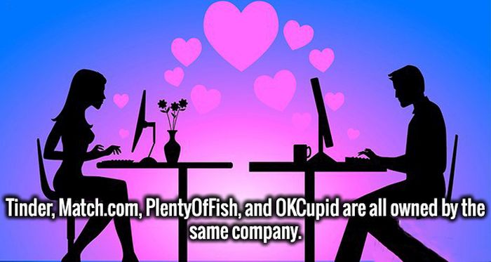 Invigorating Facts That Will Turn Your Ignorance Into Intelligence (20 pics)