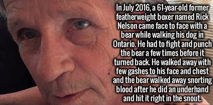 Invigorating Facts That Will Turn Your Ignorance Into Intelligence (20 pics)