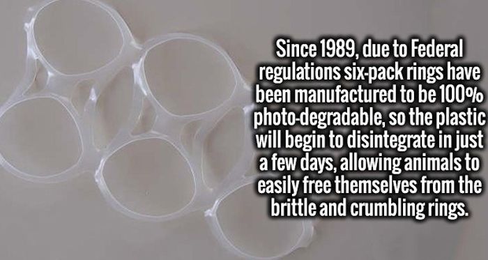 Invigorating Facts That Will Turn Your Ignorance Into Intelligence (20 pics)
