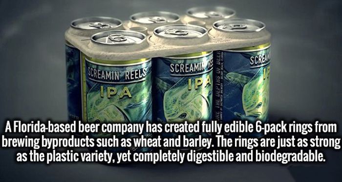 Invigorating Facts That Will Turn Your Ignorance Into Intelligence (20 pics)