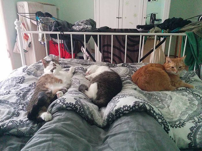 If You Remember One Thing Remember That Life Is Beautiful (46 pics)