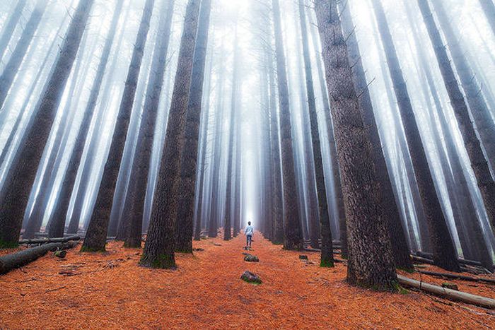 If You Remember One Thing Remember That Life Is Beautiful (46 pics)