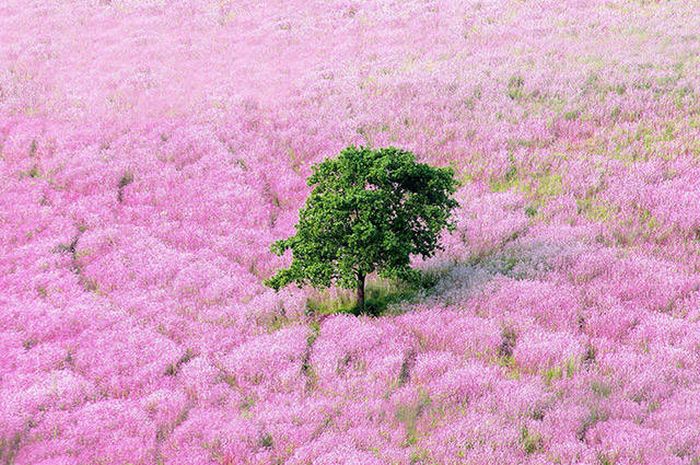 If You Remember One Thing Remember That Life Is Beautiful (46 pics)