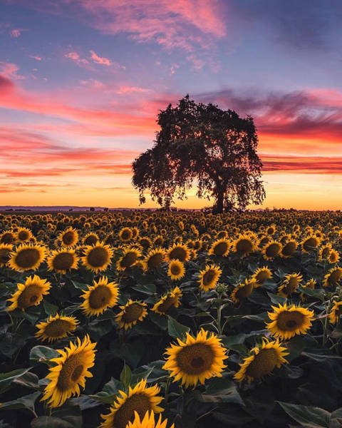 If You Remember One Thing Remember That Life Is Beautiful (46 pics)