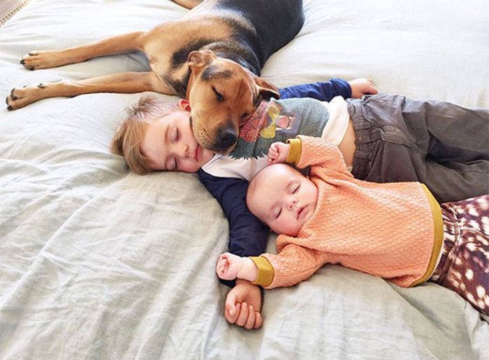 If You Remember One Thing Remember That Life Is Beautiful (46 pics)
