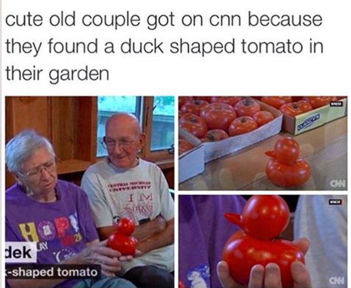 If You Remember One Thing Remember That Life Is Beautiful (46 pics)