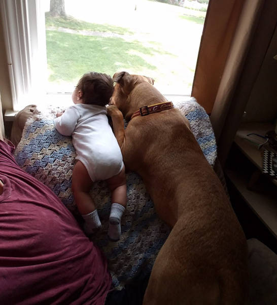 If You Remember One Thing Remember That Life Is Beautiful (46 pics)