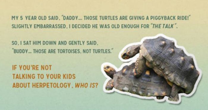 Parents Who Are Clearly Very Good At What They Do (40 pics)