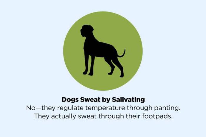 Popular Myths We All Need To Stop Believing Right Away (49 pics)