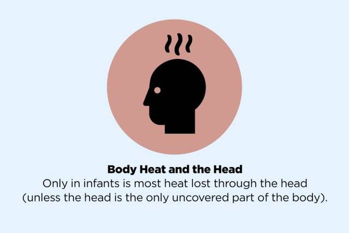 Popular Myths We All Need To Stop Believing Right Away (49 pics)