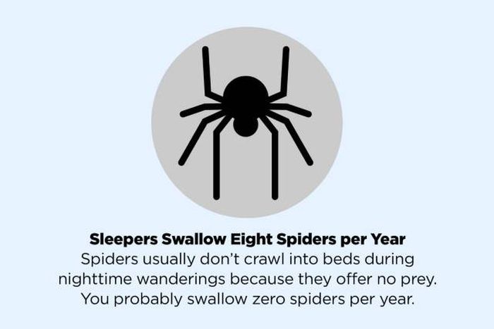 Popular Myths We All Need To Stop Believing Right Away (49 pics)
