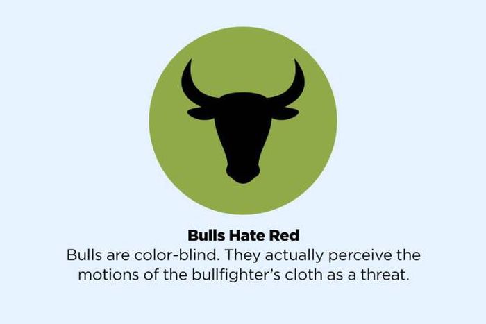 Popular Myths We All Need To Stop Believing Right Away (49 pics)