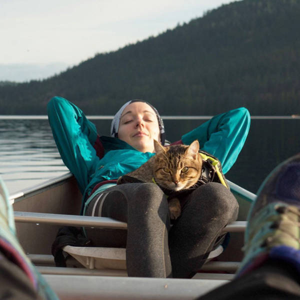 Going Camping With A … Cat? (60 pics)