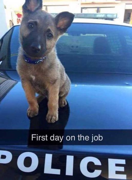 Photos That Prove Some Cops Still Like To Have A Good Time (41 pics)