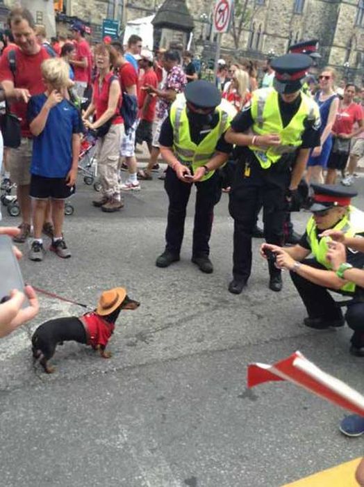 Photos That Prove Some Cops Still Like To Have A Good Time (41 pics)