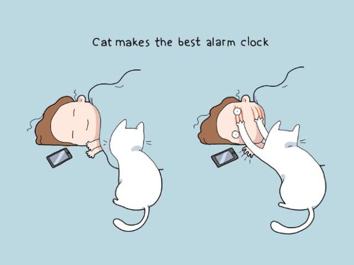 Why Every Animal Lover Needs To Own A Cat (10 pics)