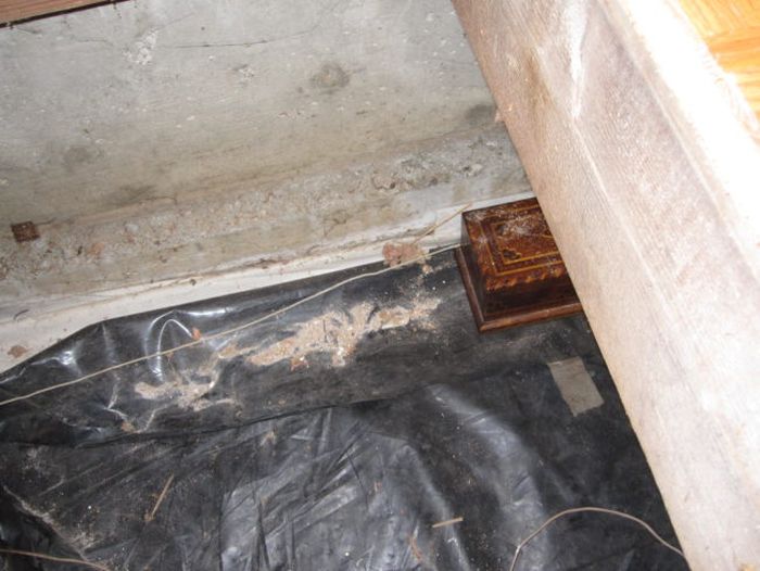 They Found A Trapdoor In Their House And Inside Was Something Incredible (25 pics)
