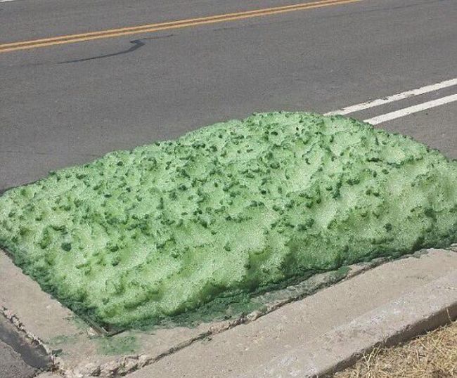 Utah Residents Baffled By Mysterious Green Foam (6 pics)