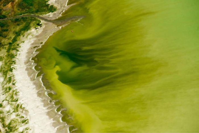 Utah Residents Baffled By Mysterious Green Foam (6 pics)