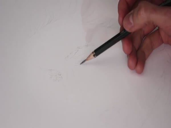 Speed Drawing