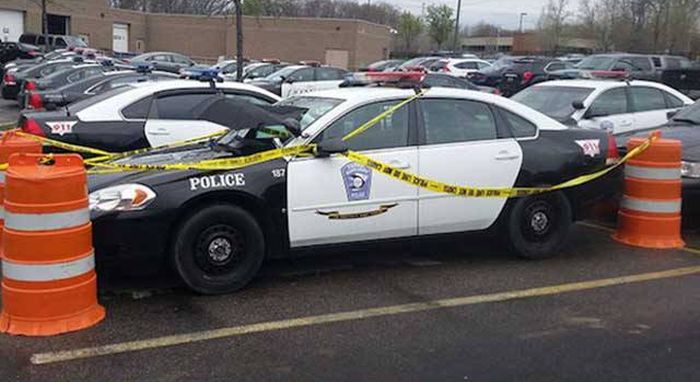 Police Build A Shelter For A Bird On A Cop Car (3 pics)