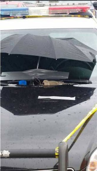 Police Build A Shelter For A Bird On A Cop Car (3 pics)
