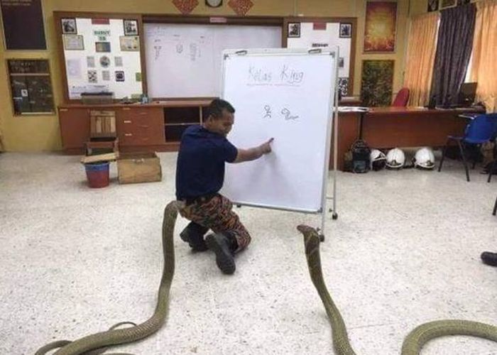 It's Not Possible To Look At These Photos Without Saying WTF? (43 pics)