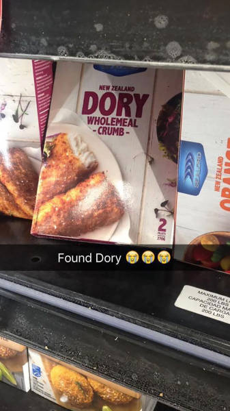 A Hilarious Collection Of Some Of The Best Snapchats To Ever Hit The Web (47 pics)