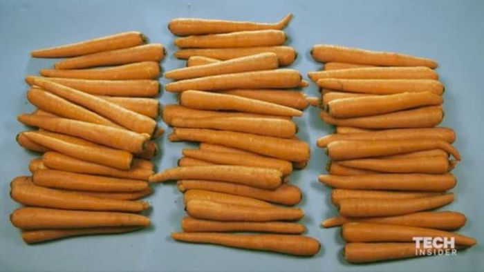 What 2,000 Calories Of Your Favorite Foods Actually Looks Like (8 pics)