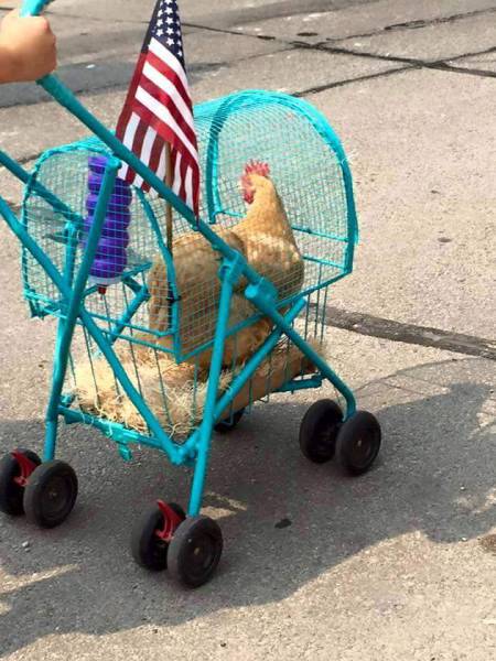 Acid Picdump (131 pics)