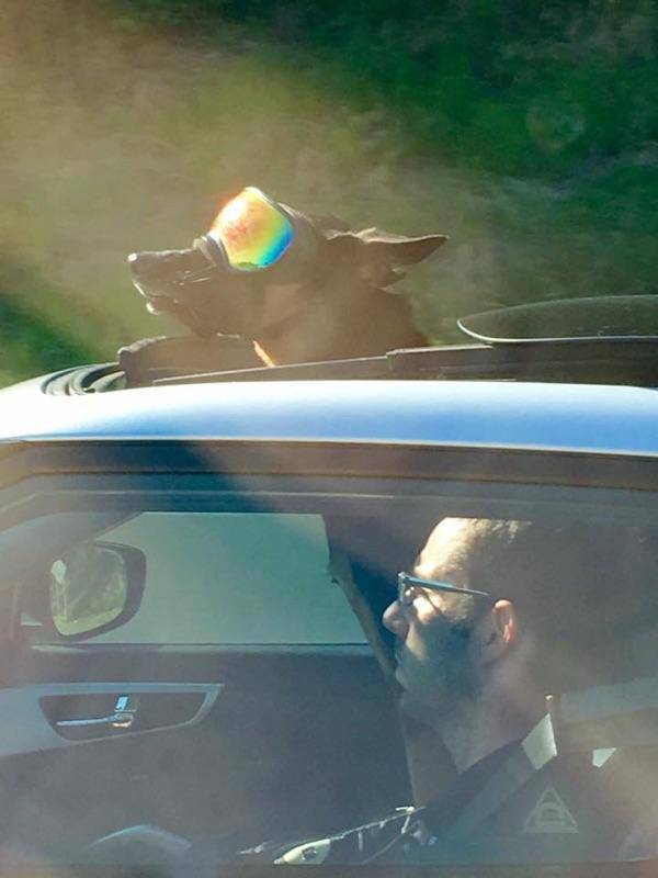 Acid Picdump (131 pics)