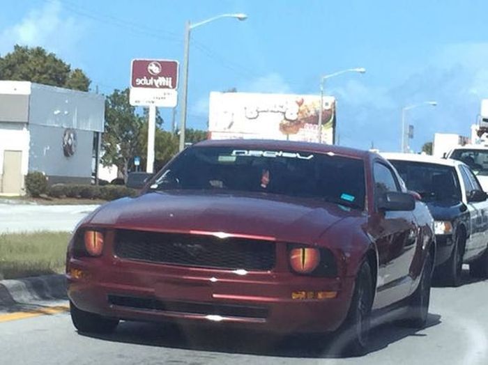 Acid Picdump (131 pics)