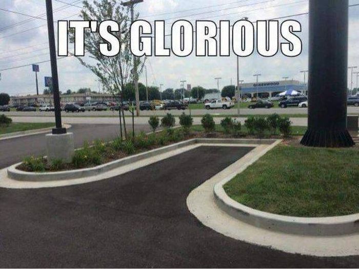 Acid Picdump (131 pics)