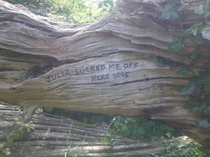 Acid Picdump (131 pics)
